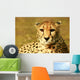 Animal Wall Mural