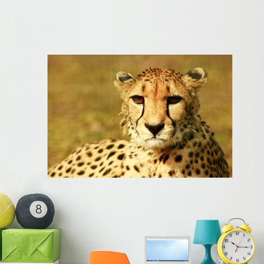 Animal Wall Mural