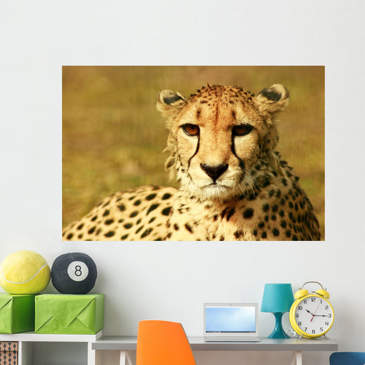 Animal Wall Mural