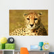 Animal Wall Mural
