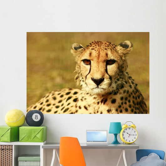 Animal Wall Mural