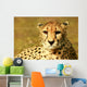 Animal Wall Mural