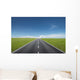 road Wall Mural