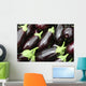 Eggplants Wall Mural