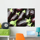Eggplants Wall Mural