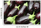 Eggplants Wall Mural