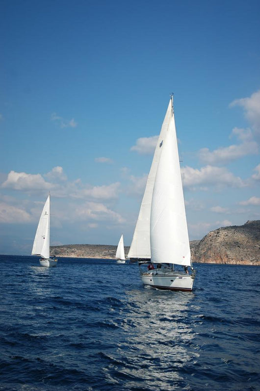 Yachts Wall Mural
