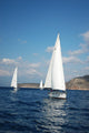 Yachts Wall Mural