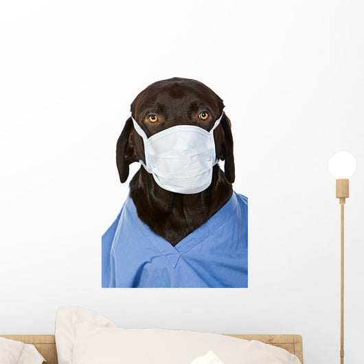 Chocolate Labrador Surgeon Wall Decal