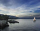 Sailing Wall Decal