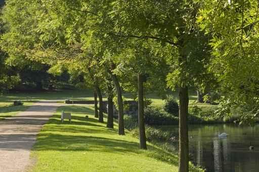 Walk Park Wall Decal Design 1