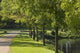 Walk Park Wall Decal Design 1