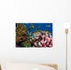Reef scenic, Line Islands Kribati Wall Mural
