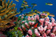 Reef scenic, Line Islands Kribati Wall Mural