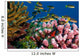 Reef scenic, Line Islands Kribati Wall Mural