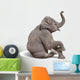 Young Baby Elephant Sit Wall Decal