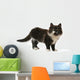 cat Wall Decal