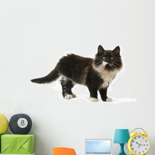cat Wall Decal