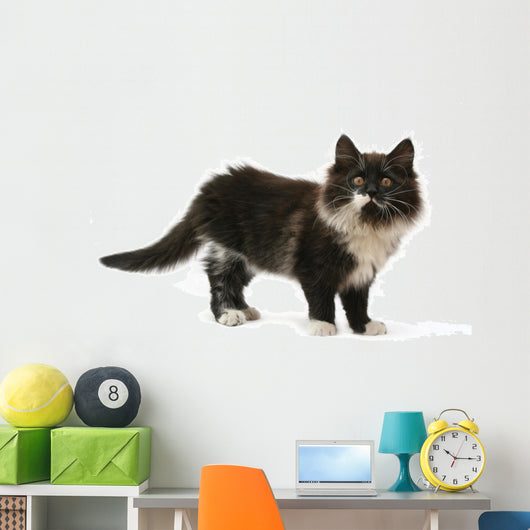 cat Wall Decal
