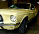 Yellow Mustang Wall Decal