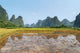 Paddy Field Region Guilin Wall Decal