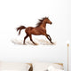 Horse Decals - Brown Stallion Running Wall Decal
