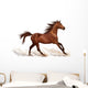 Horse Decals - Brown Stallion Running Wall Decal