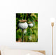 Pod of poppy seeds Wall Mural