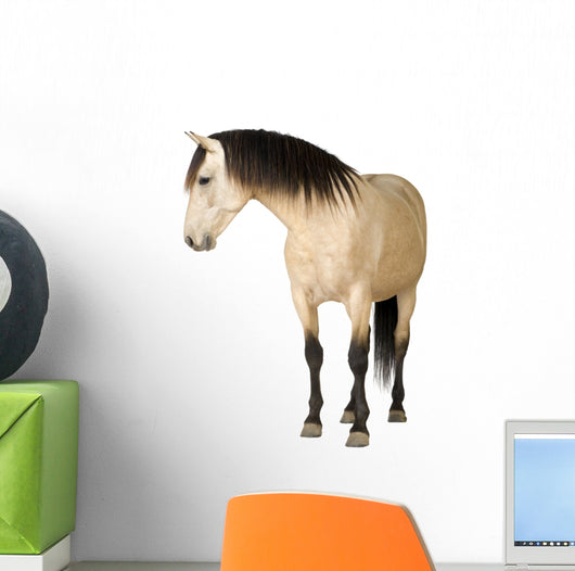 Horse Wall Decal