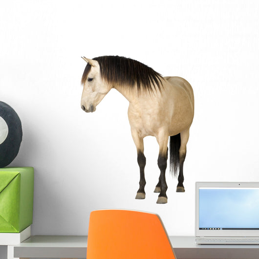 Horse Wall Decal