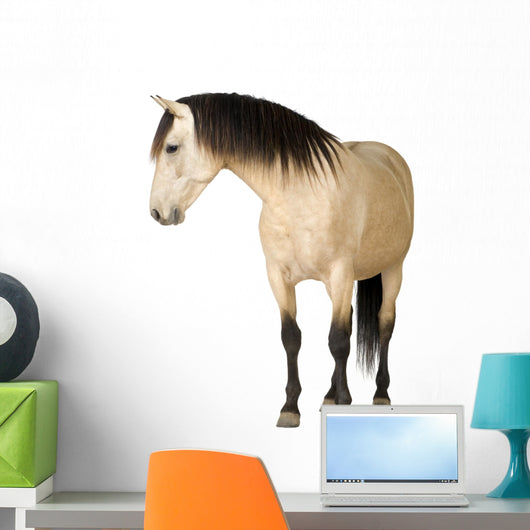Horse Wall Decal