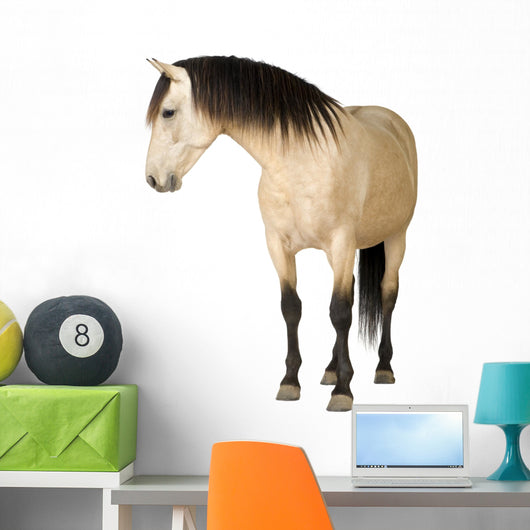 Horse Wall Decal