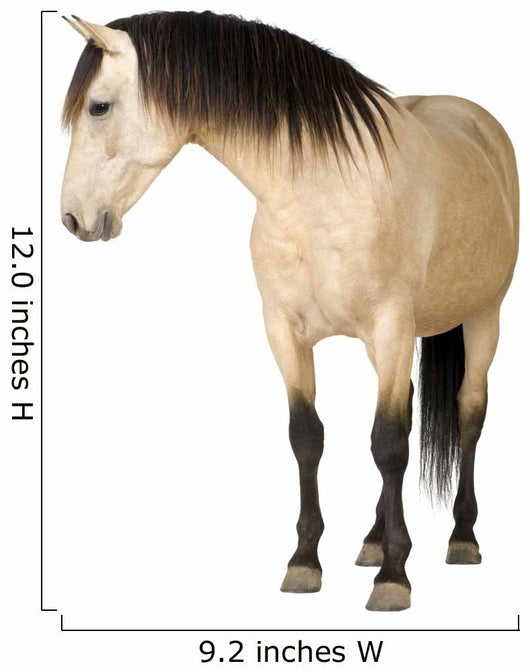 Horse Wall Decal