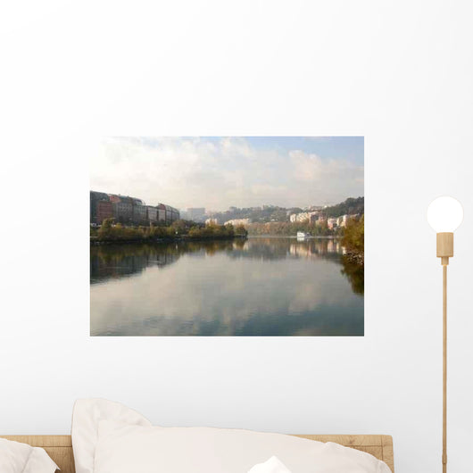 Rhone and Cite Internationale Wall Decal