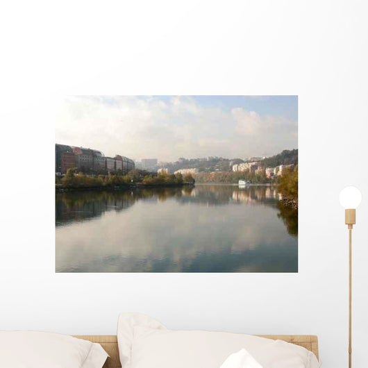 Rhone and Cite Internationale Wall Decal