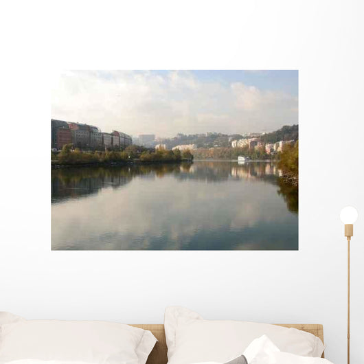 Rhone and Cite Internationale Wall Decal