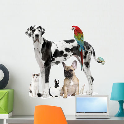 Group Pets Wall Decal shown on a wall