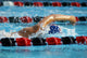 swimmer Wall Mural