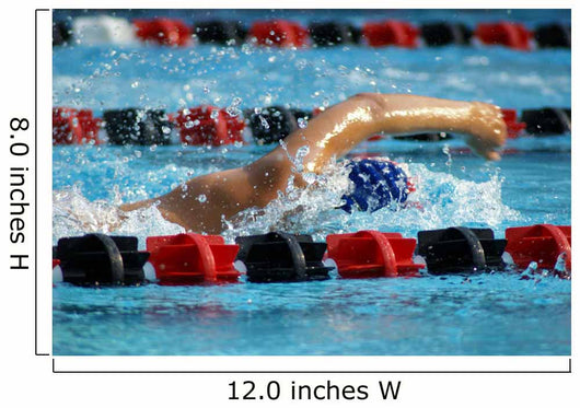 swimmer Wall Mural