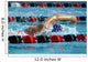 swimmer Wall Mural