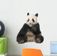 Giant Panda 18 Months - Ailuropoda Melanoleuca Wall Decal