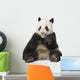 Giant Panda 18 Months - Ailuropoda Melanoleuca Wall Decal