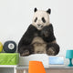 Giant Panda 18 Months - Ailuropoda Melanoleuca Wall Decal
