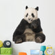Giant Panda 18 Months - Ailuropoda Melanoleuca Wall Decal