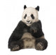 Giant Panda 18 Months - Ailuropoda Melanoleuca Wall Decal