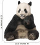 Giant Panda 18 Months - Ailuropoda Melanoleuca Wall Decal