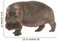 Hippopotamus - Hippopotamus amphibius ( 30 years) Wall Decal