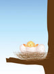 Chick Nest Hatching Wall Mural