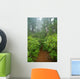 Pacific Northwest Rainforest Wall Decal Design 2