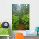 Pacific Northwest Rainforest Wall Decal Design 2